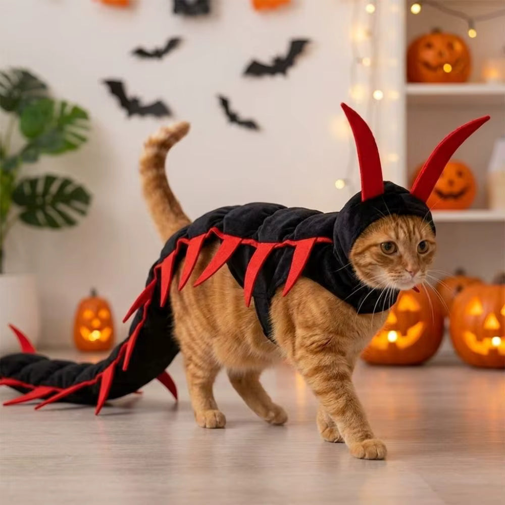 Halloween Centipede Cat Costume – Funny & Spooky Pet Costume